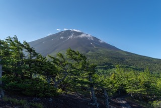 View of Mt. Fuji from the 5th Station 