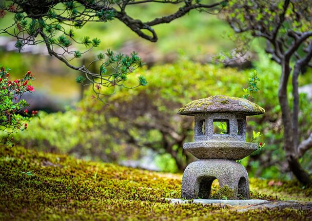 Mossy stone lantern in Japanese temple garden