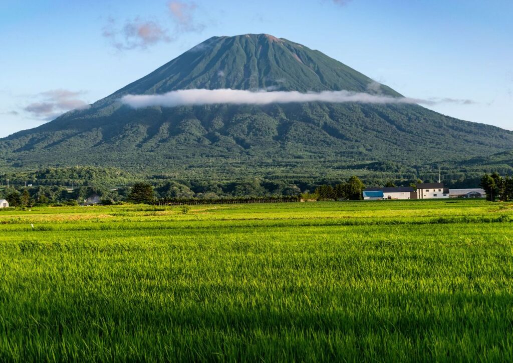 Mt. Yotei with rice fields, Hokkaido