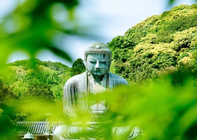 Great Buddha of Kamakura in summer greenery
