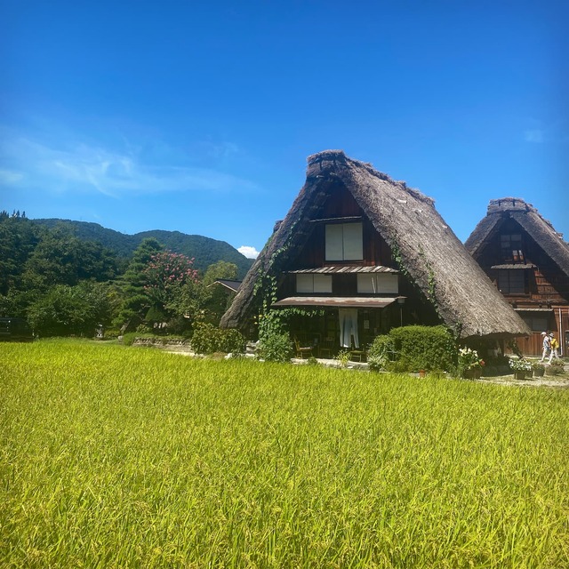 My favourite memory of Japan was going to Shirakawa-go