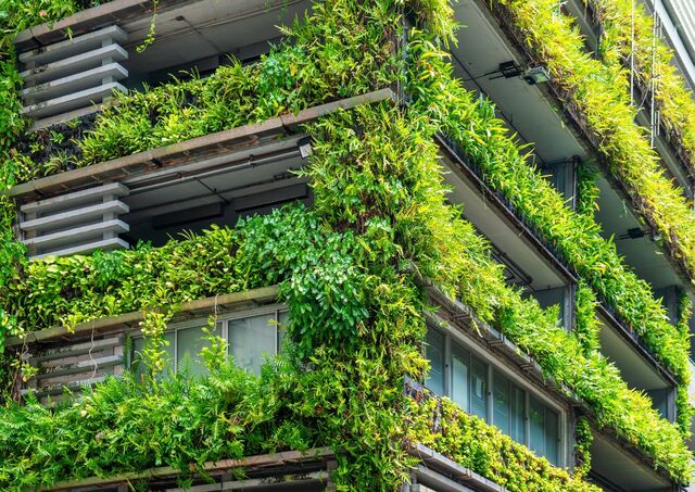 Modern building facade with lush green plants and vertical gardens 
