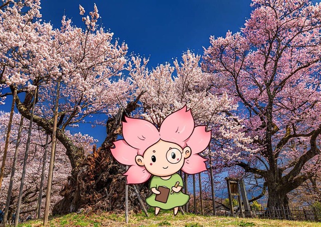 Mono-chan mascot against the Jindai Zakura tree, Yamanashi, Japan