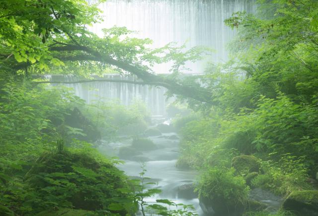 Kitanisawa Stream, Mt. Daisen, Tottori