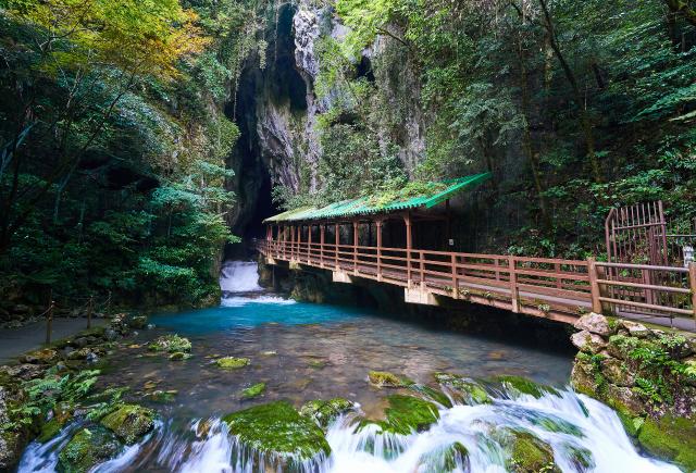 Akiyoshidai National Park, Yamaguchi