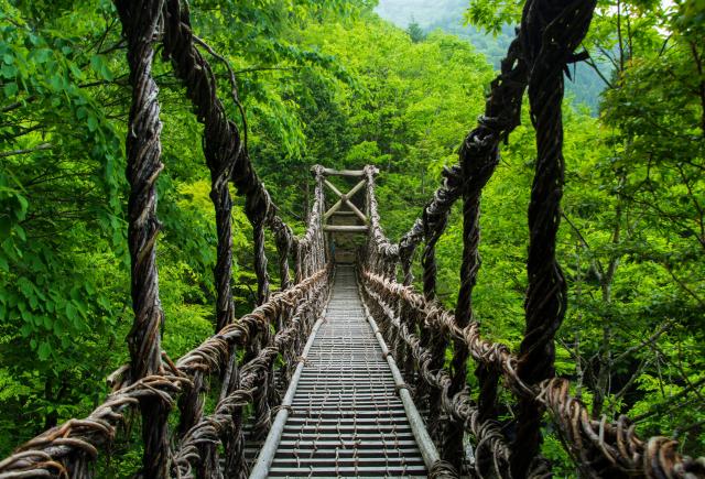 Kazurabashi Bridge, Iya Valley