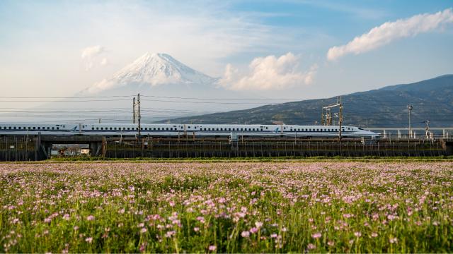 Shinkansen Train and Mount Fuji