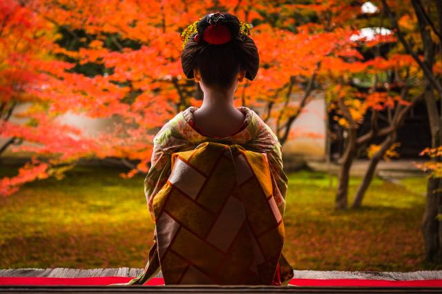 Maiko Dinner, Kyoto