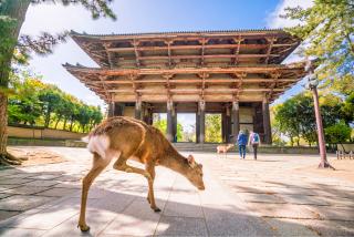 Todaji Temple, Nara