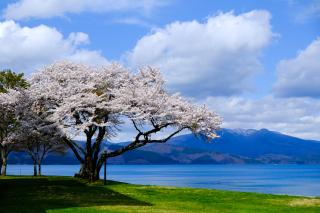 Tazawa Lake