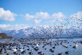 Lake Inawashiro, Sendai