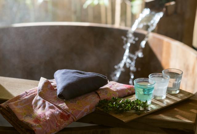 Onsen Bath in Hakone National Park