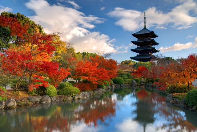 Toji Temple, Nara