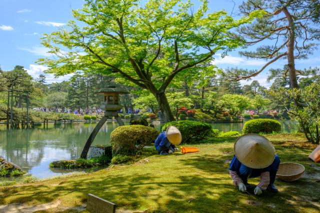 Kenrokuen Garde, Kanazawa