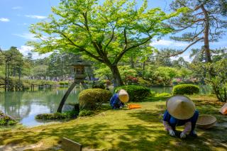 Kenrokuen Garde, Kanazawa