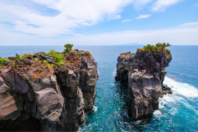 Jogasaki Coastline, Izu Peninsula