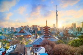 Aerial View of Tokyo