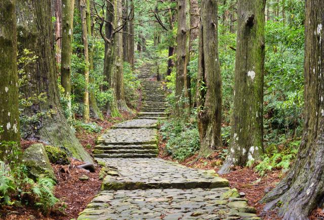 Kumano Kodo: God’s Earth Pilgrimage