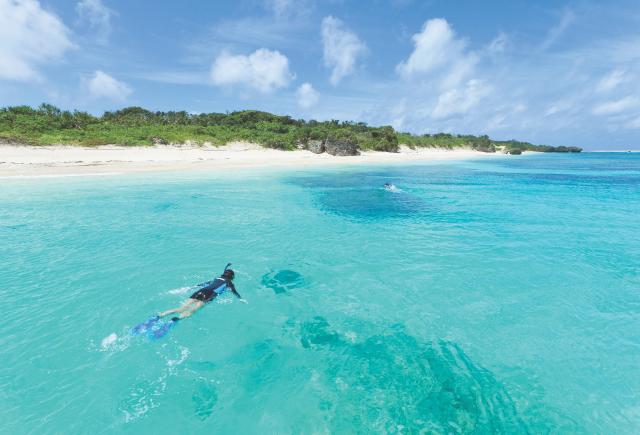 Snorkelling in Okinawa