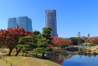 Hamarikyu Garden, Tokyo