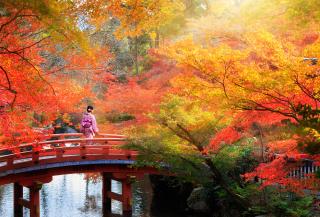 Autumn in Japan