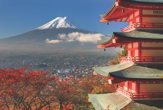 Mt. Fuji in Autumn