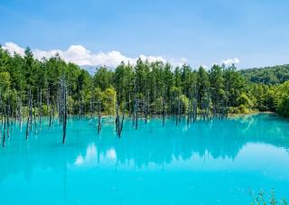Shirogane Blue Pond in Biei