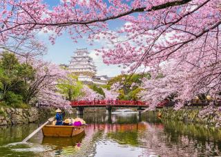 Himeji castle boat tour during cherry blossom season
