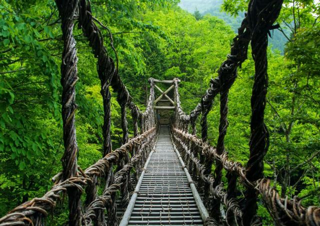 One of the three remaining vine bridges