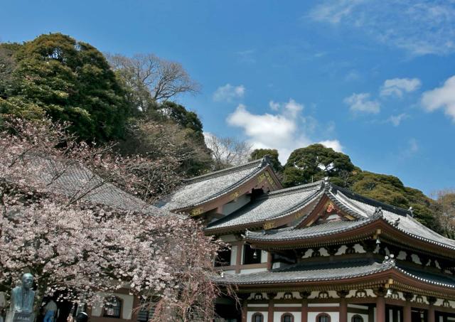 Hase-dera temple