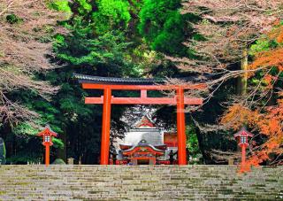 Kirishima Jingu Shrine’s torii gate