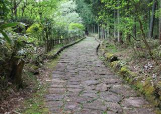 The Nakasendo Trail