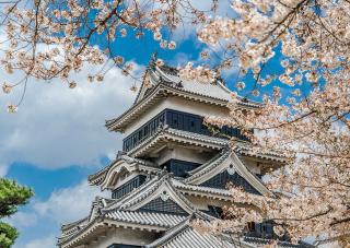 Matsumoto’s cherry blossoms in spring
