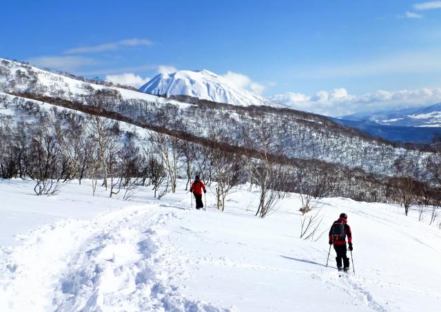 Off-piste skiing in Niseko