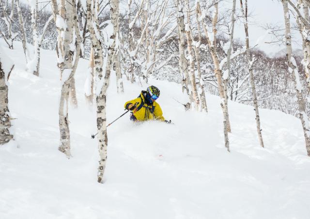 Off-piste skiing in Niseko