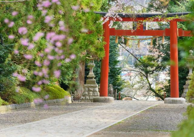 Torii gate, Osaki Hachimangu Shrine, Sendai