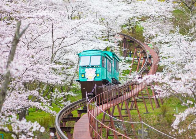 Monorail at Funaoke Castle Ruin Park, Sendai