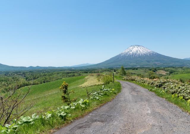 Mount Yotei, Niseko