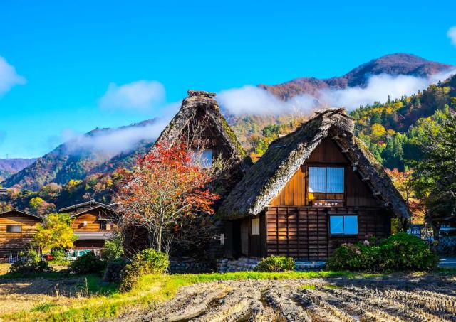 Ogimachi Village in autumn