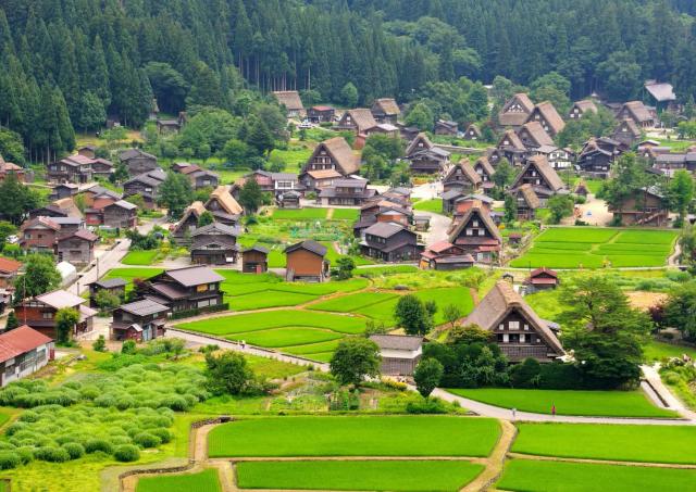 Ogimachi Village in summer