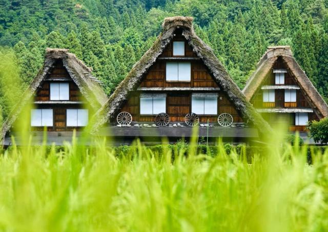 Traditional gassho-zukuri houses, Shirakawa-go