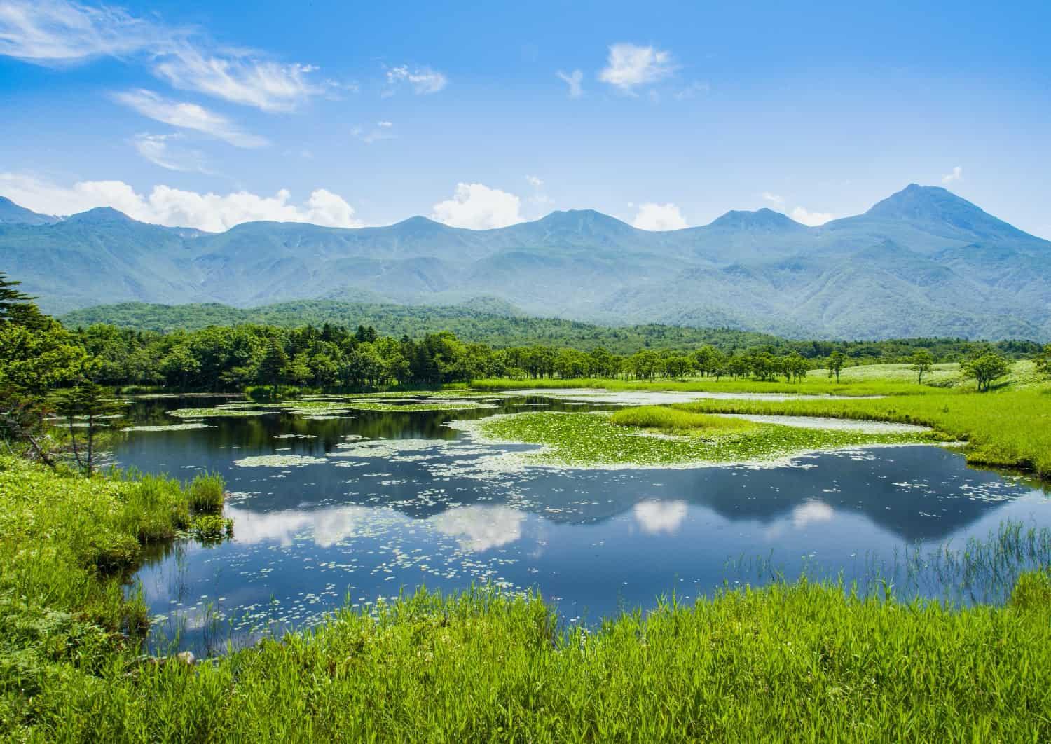 Shiretoko National Park - Japan Travel Guide - Japanspecialist