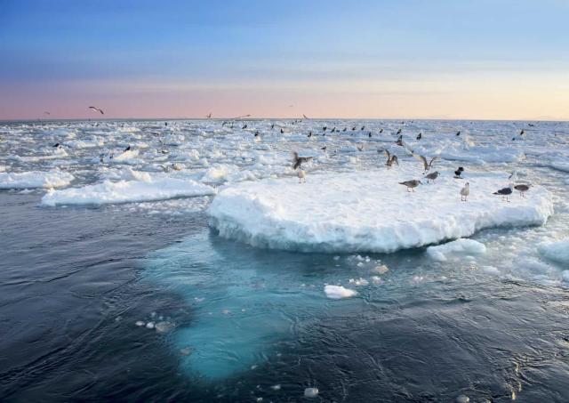 Drift ice off the coast of Shiretoko National Park