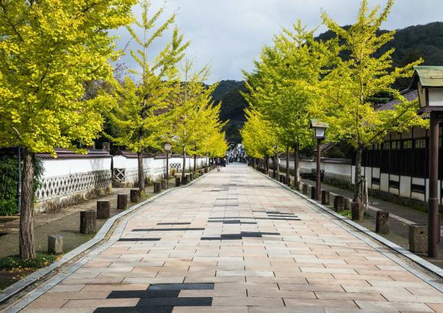 Tonomachi Street, Tsuwano