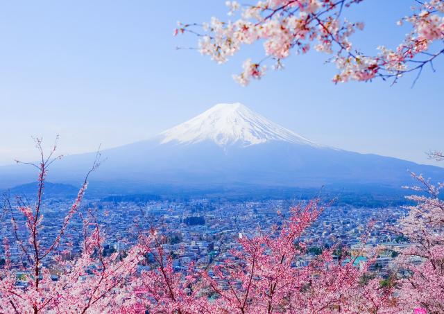 Mount Fuji with cherry blossoms in spring