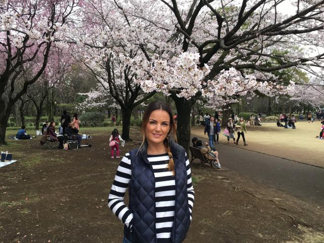 Sakura watching in Tokyo
