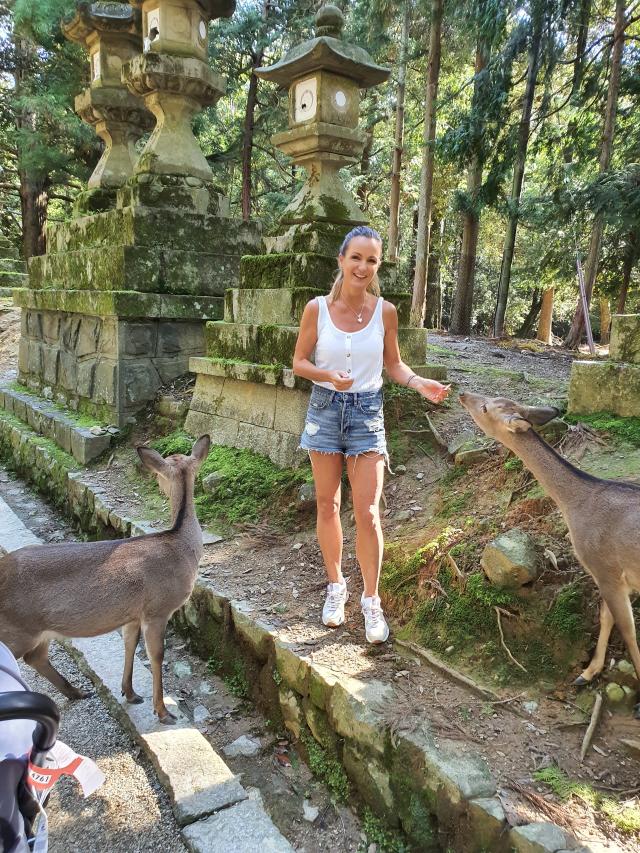 In Nara Park