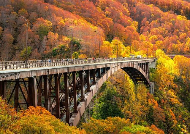 Jogakura Bridge in Aomori Prefecture with Autumn Leaves background. A wonderful view of Jyogakura-keiryu Stream, a famous place in the Towada-hachimantai National Park