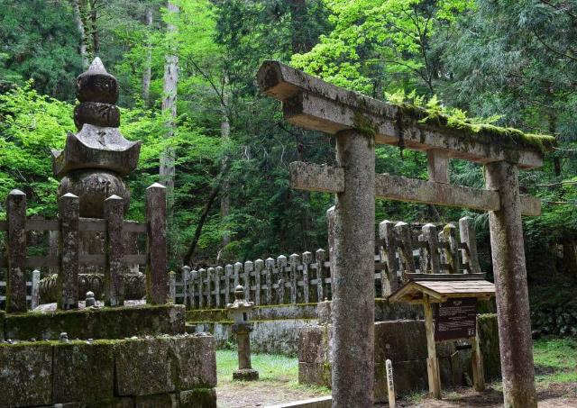 memorial surrounded by green trees at mount koya
