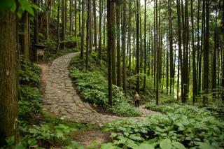 Nakasendo Trail